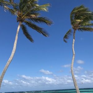 Meet your Posher, Maddie